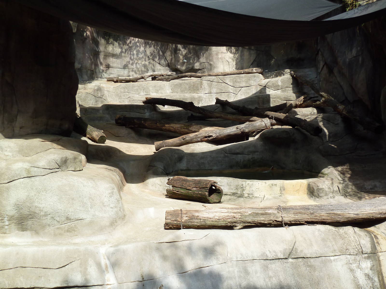 Grizzly Bear/Coastal Brown Bear Exhibit
