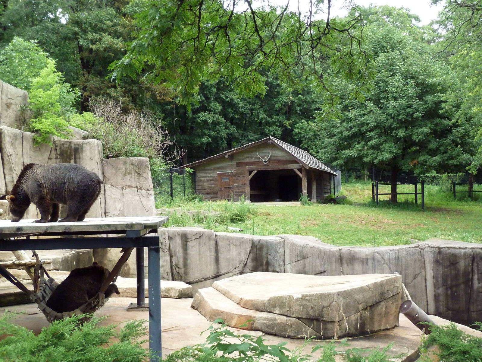 Grizzly Bear + Elk/Sandhill Crane Exhibits