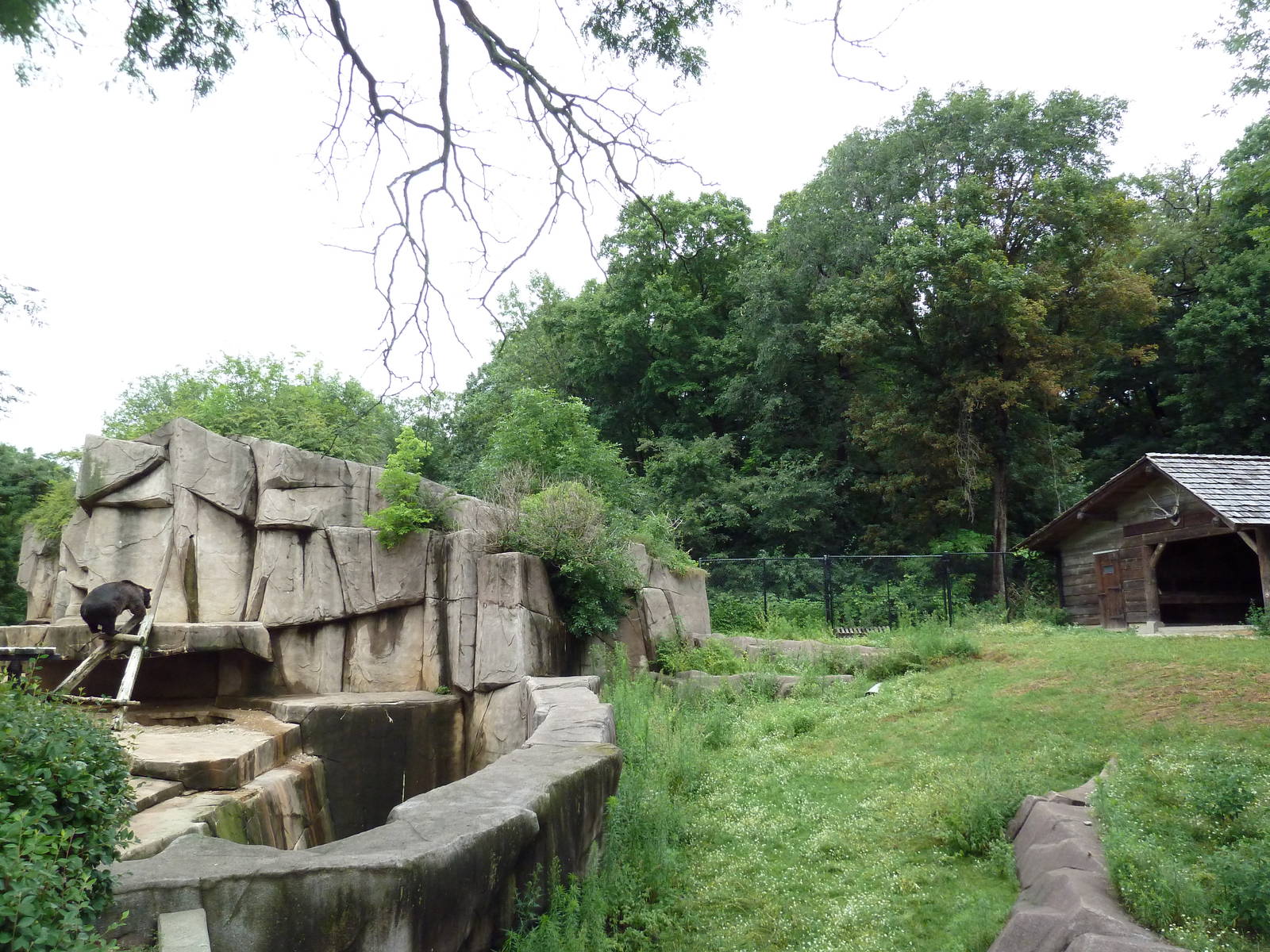 Grizzly Bear + Elk/Sandhill Crane Exhibits