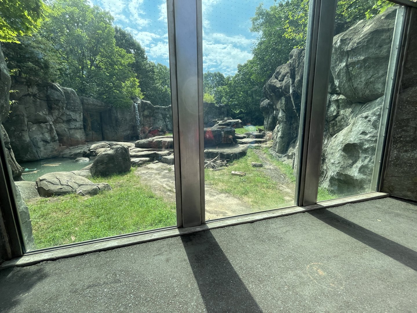 Grizzly Bear Enclosure (No Show)