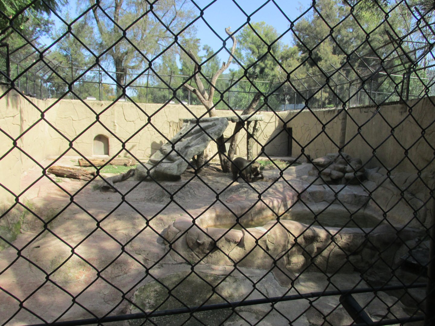 GRIZZLY BEAR ENCLOSURE