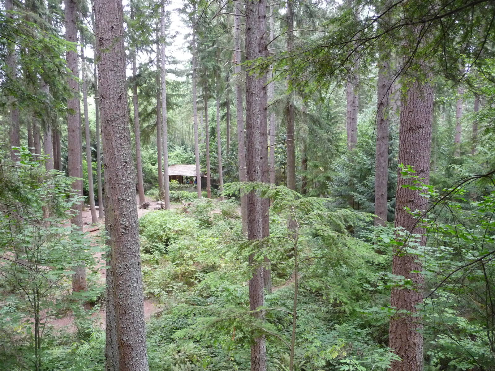 Grizzly Bear Enclosure