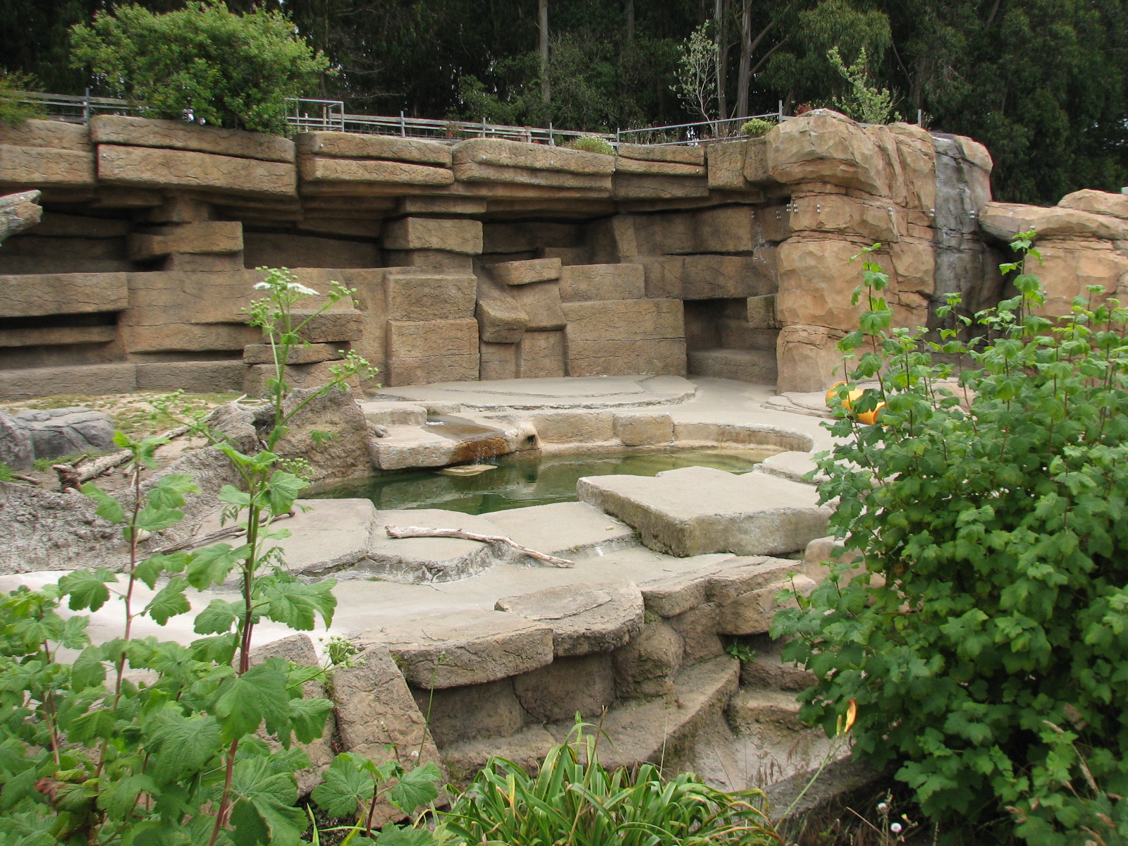 Grizzly Bear Exhibit 1