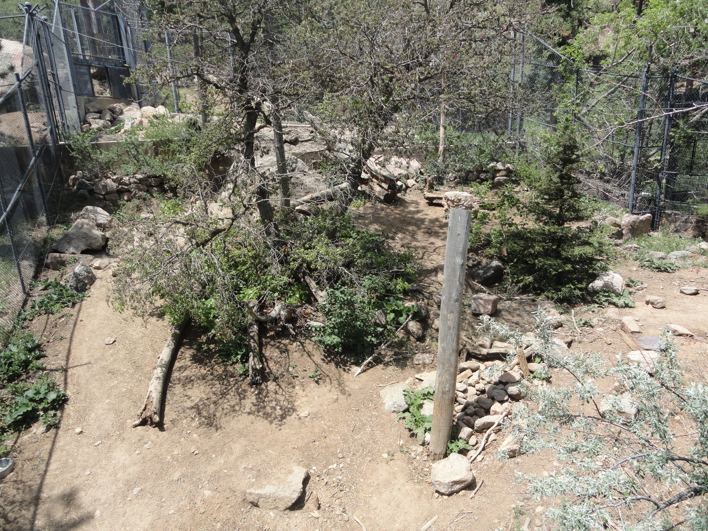 Grizzly Bear Exhibit 1