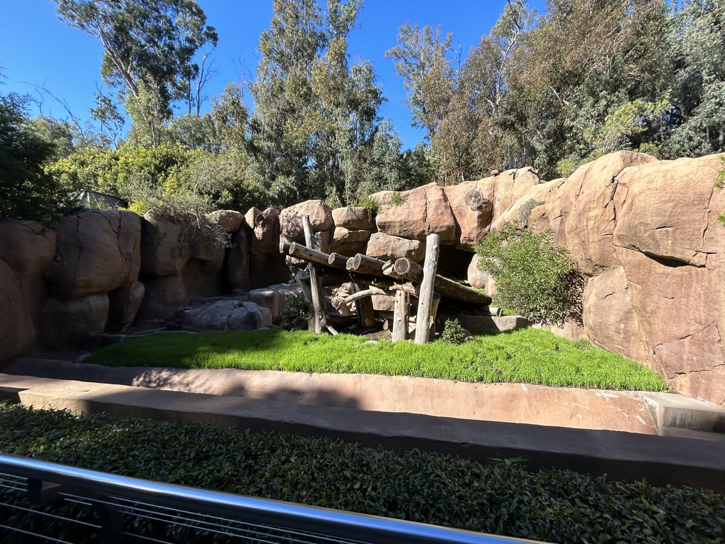 Grizzly Bear Exhibit #2 - Bear Canyon