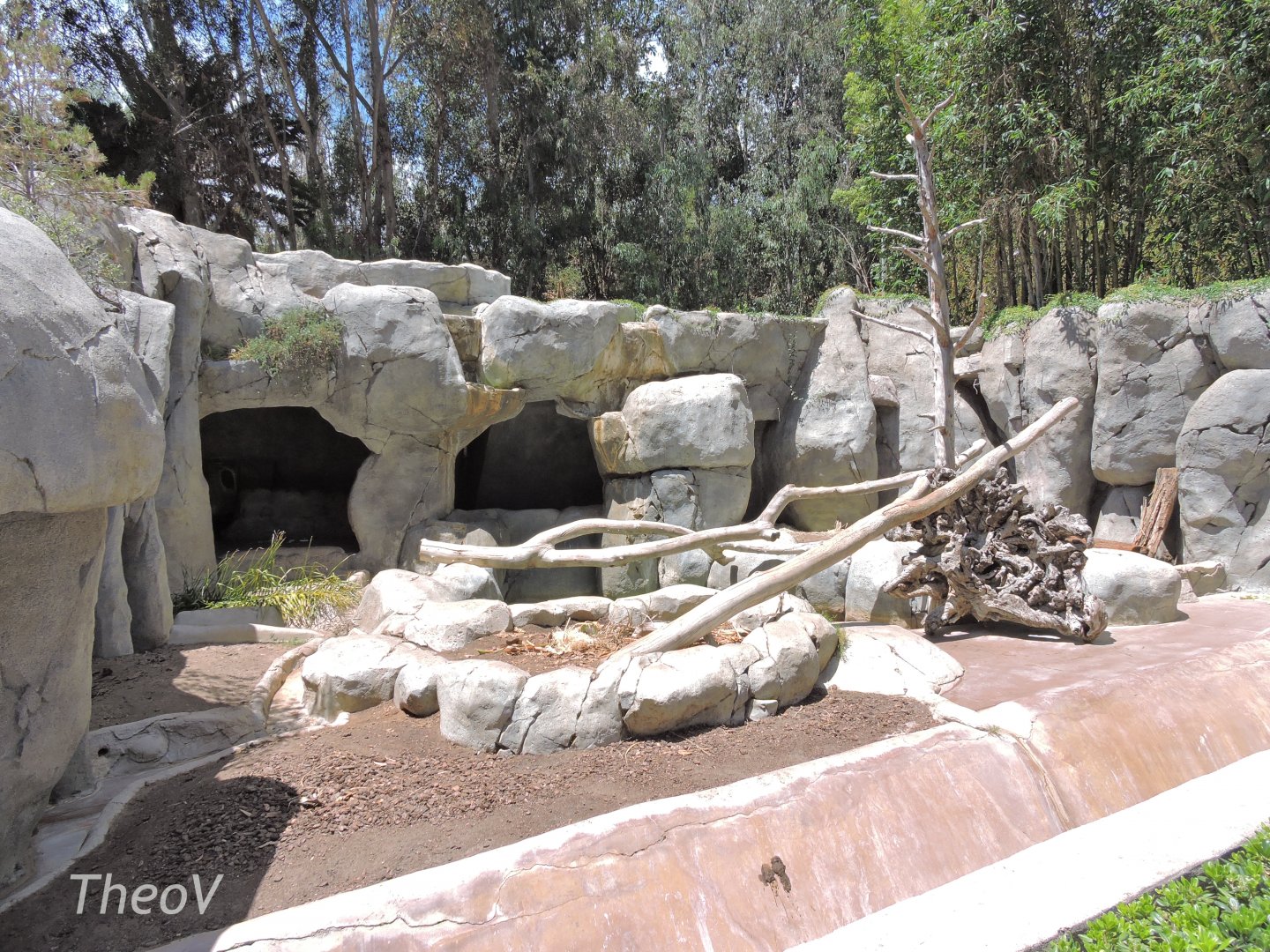 Grizzly bear exhibit [2015]
