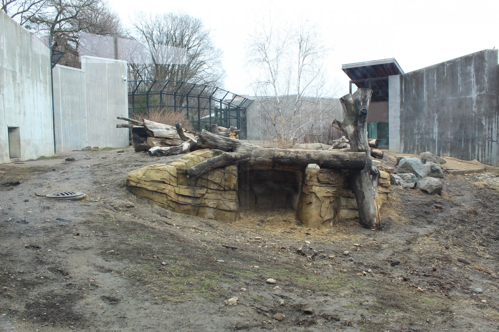 Grizzly Bear Exhibit - Arctic Passage