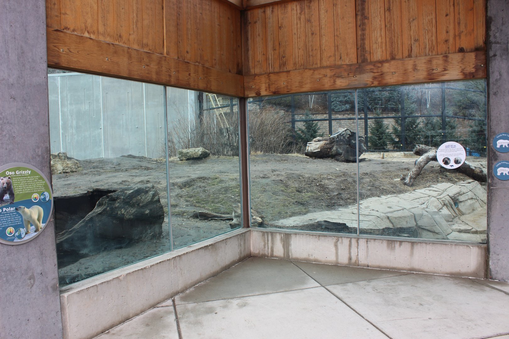 Grizzly Bear Exhibit - Arctic Passage
