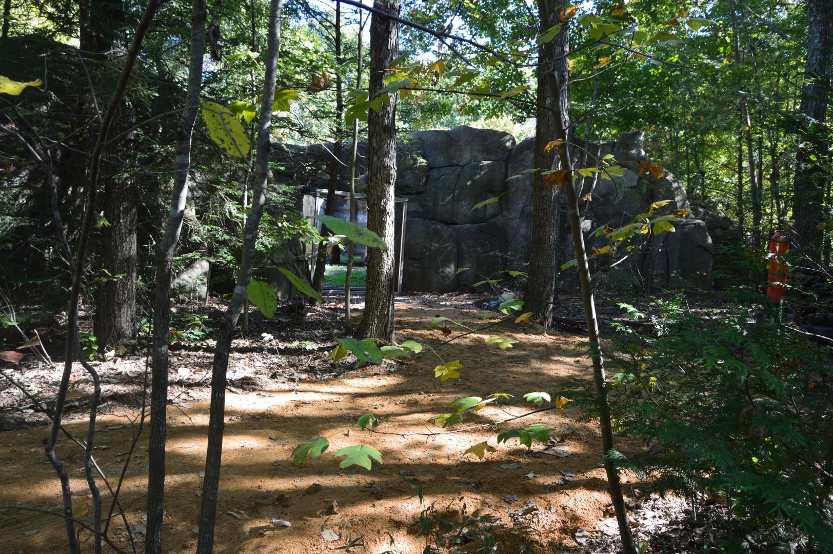Grizzly Bear Exhibit Construction - New Observation Window?