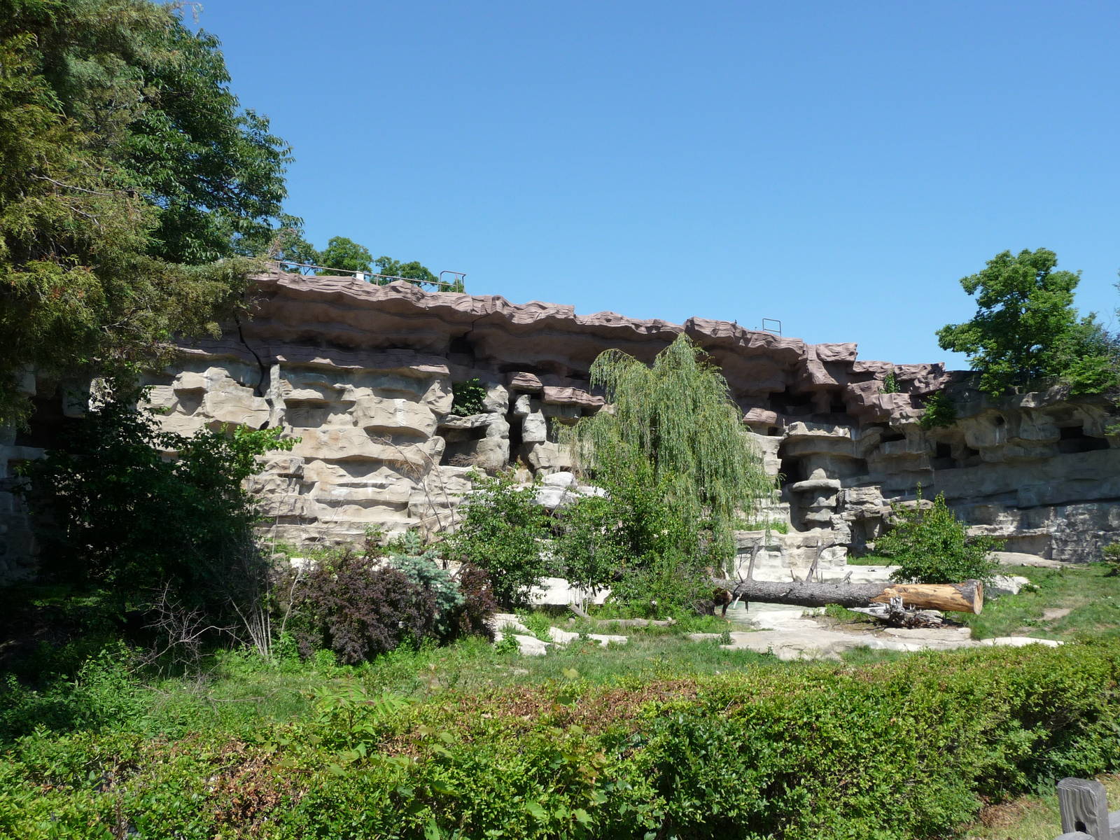 Grizzly Bear Exhibit - Detroit Zoo