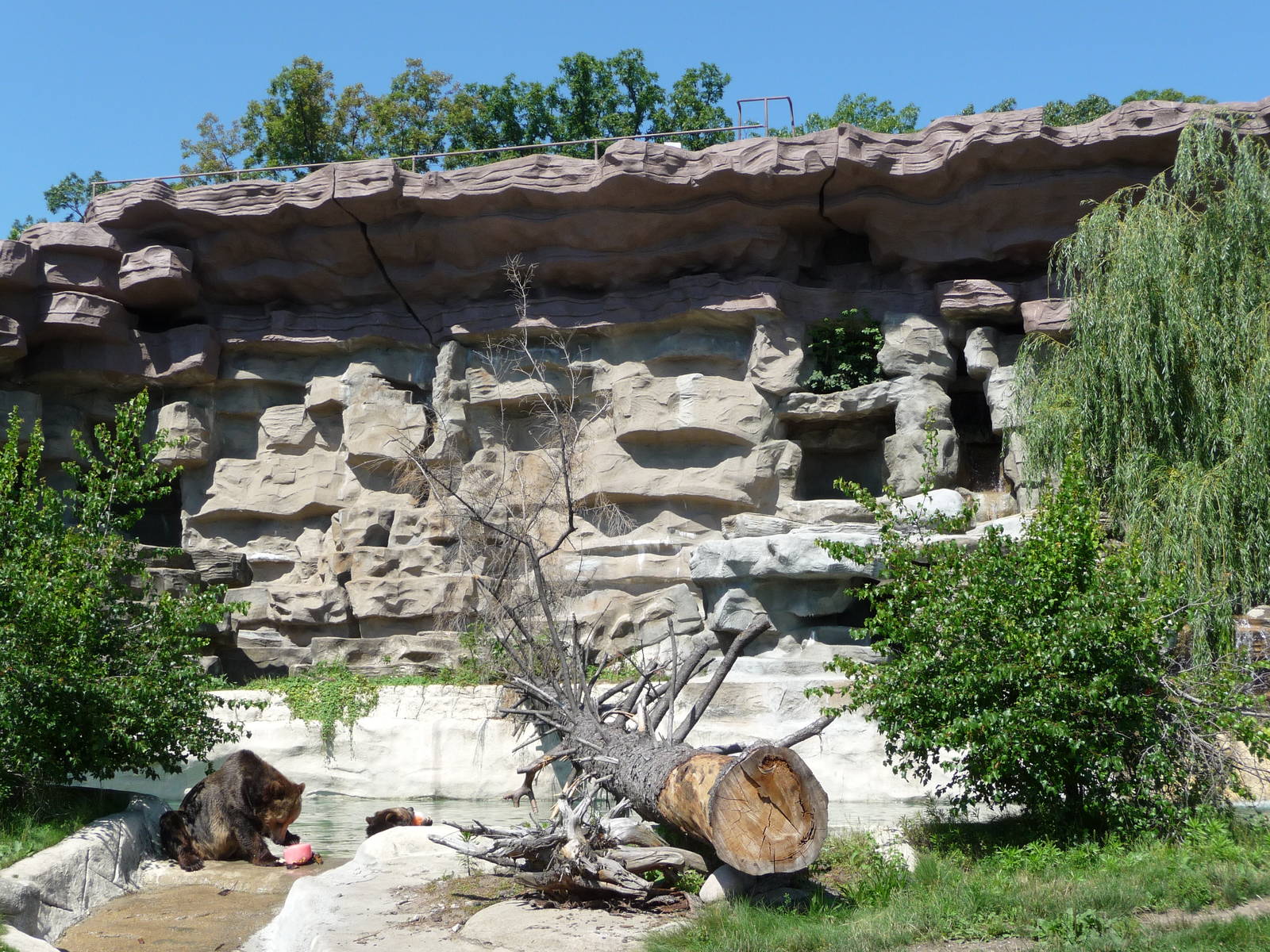 Grizzly Bear Exhibit - Detroit Zoo