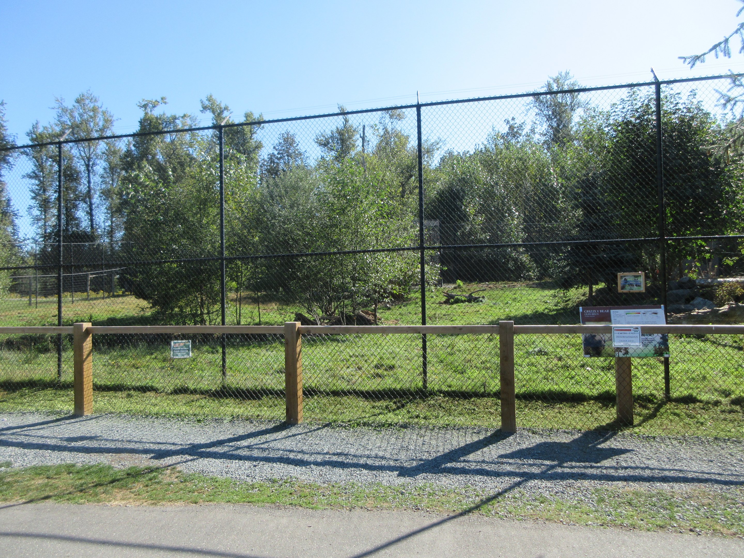 Grizzly Bear Exhibit (for 3 cubs)