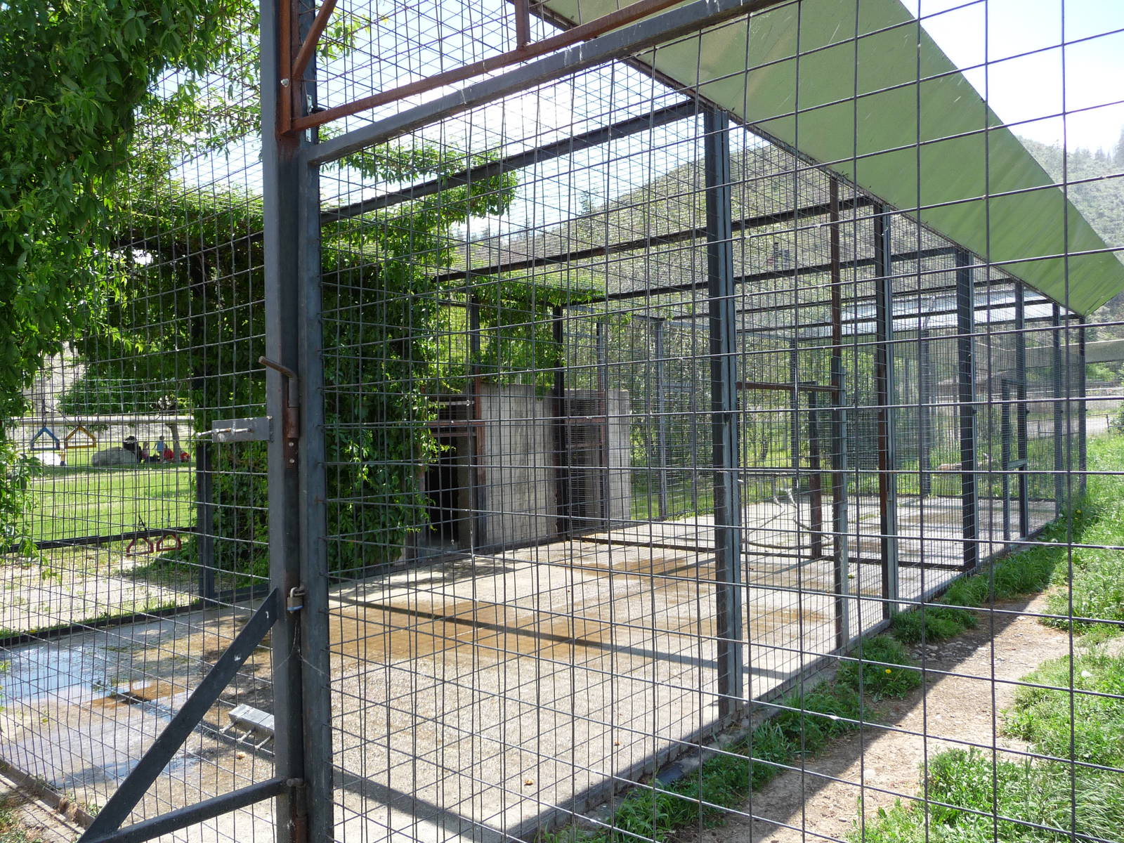 Grizzly Bear Exhibit - Holding Area