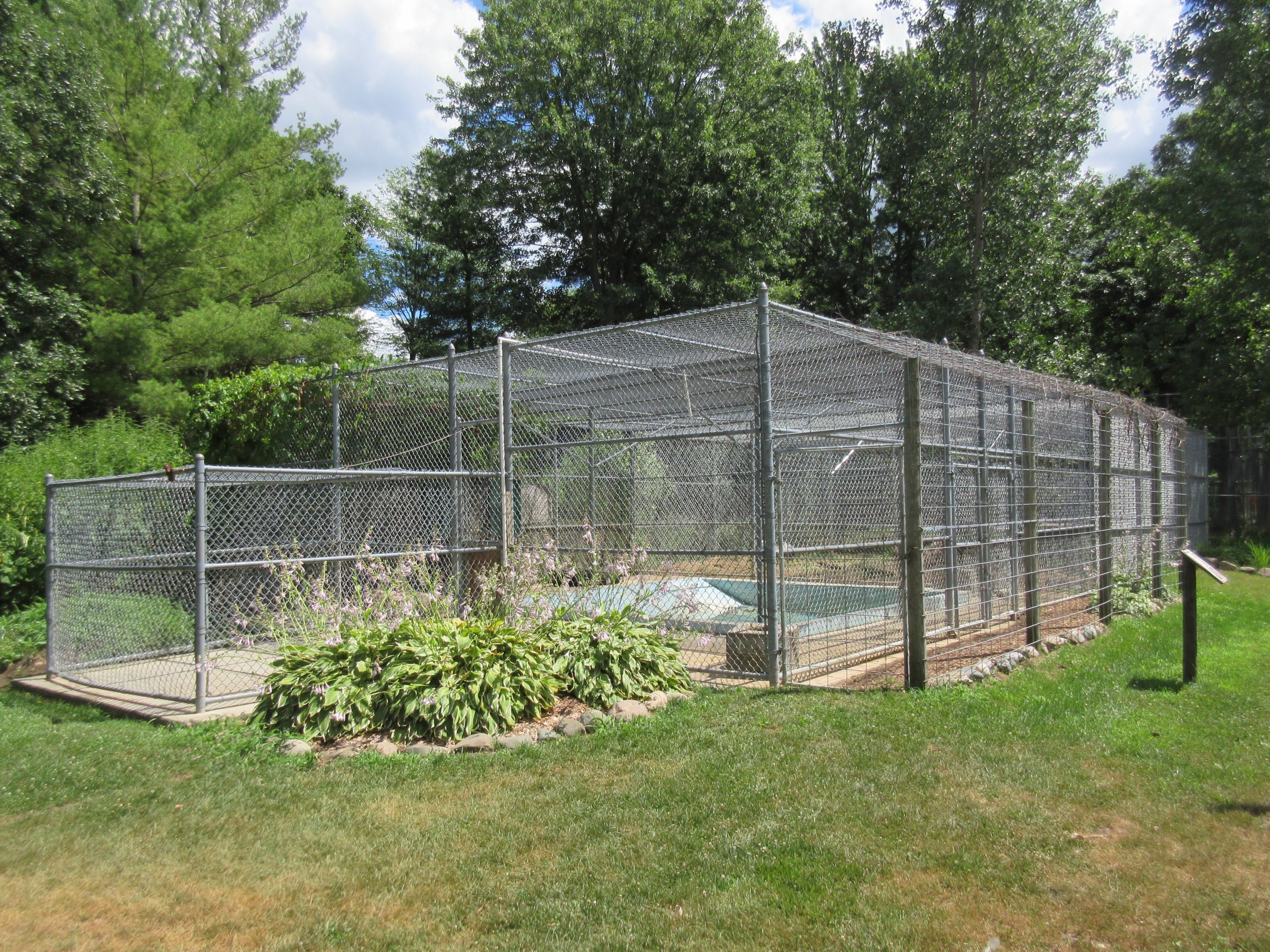 Grizzly Bear Exhibit (labeled as 'Siberian Brown Bear')