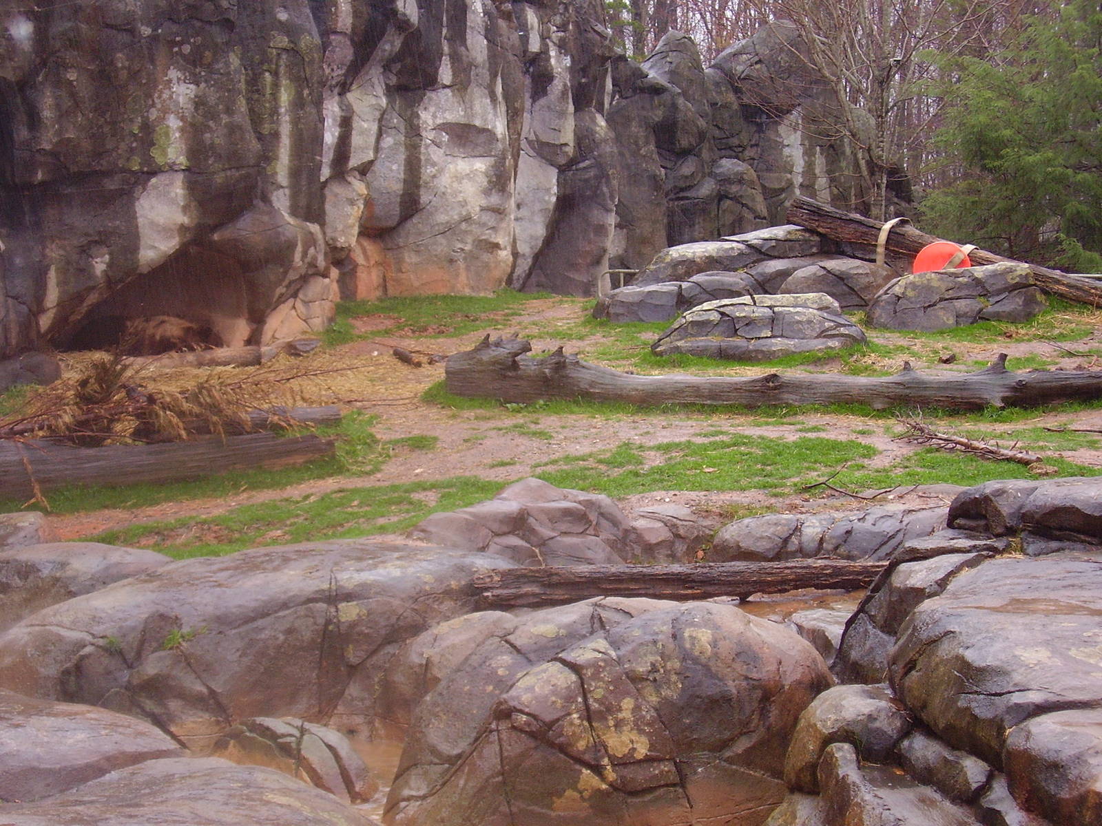 Grizzly Bear Exhibit- NC Zoo MAR07