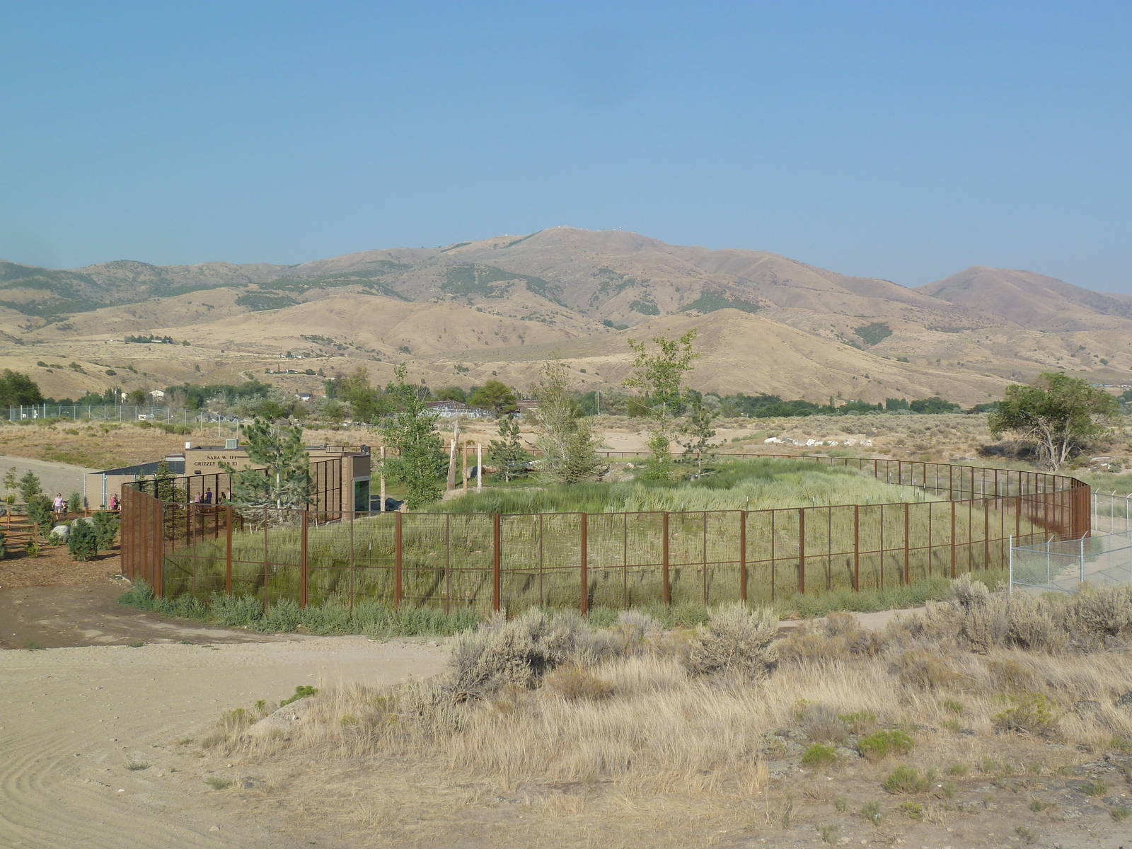 Grizzly Bear Exhibit (New in 2012)