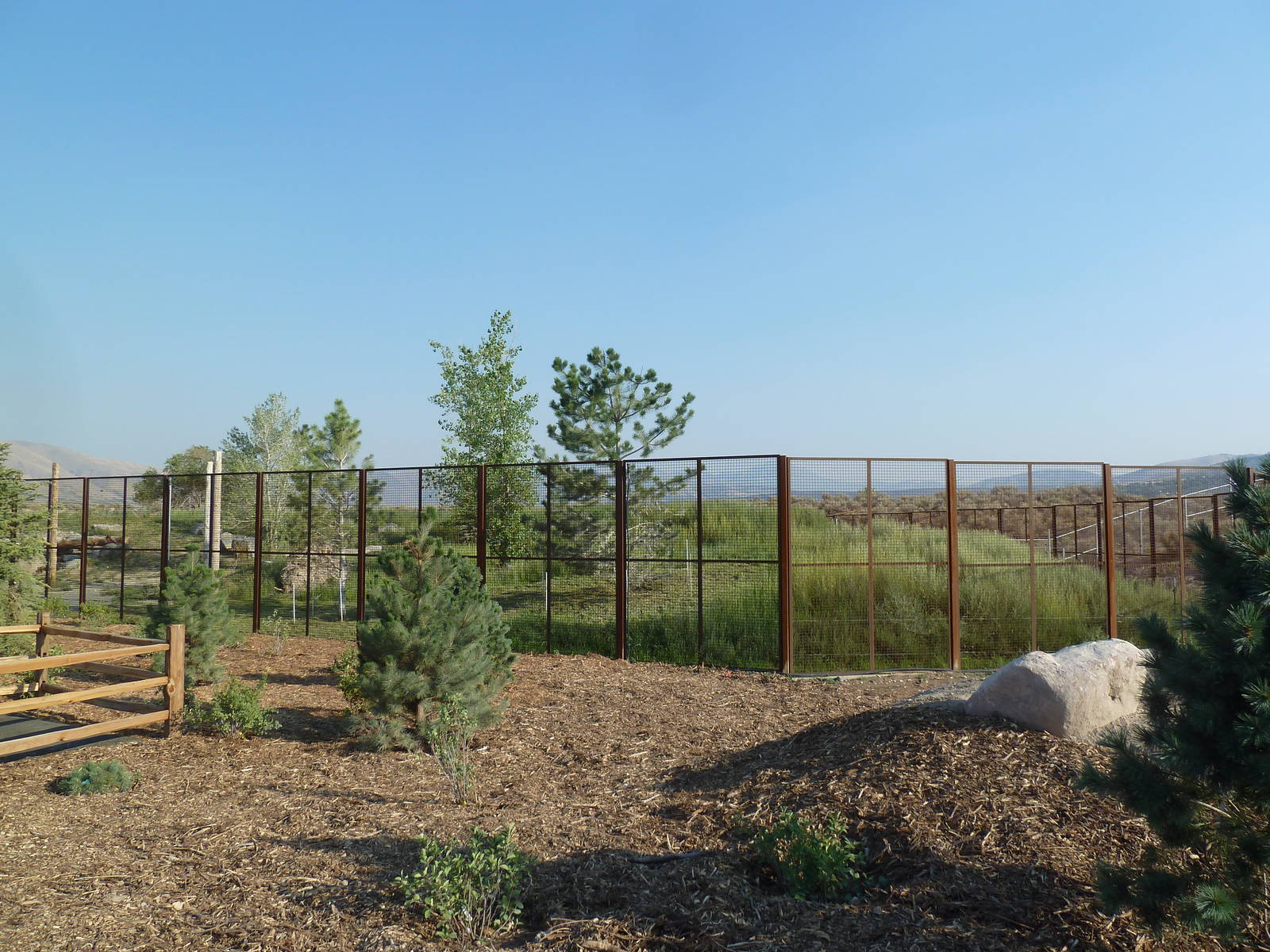 Grizzly Bear Exhibit (New in 2012)