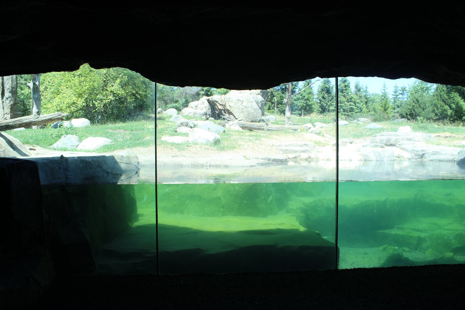 Grizzly Bear Exhibit - Russia's Grizzly Coast