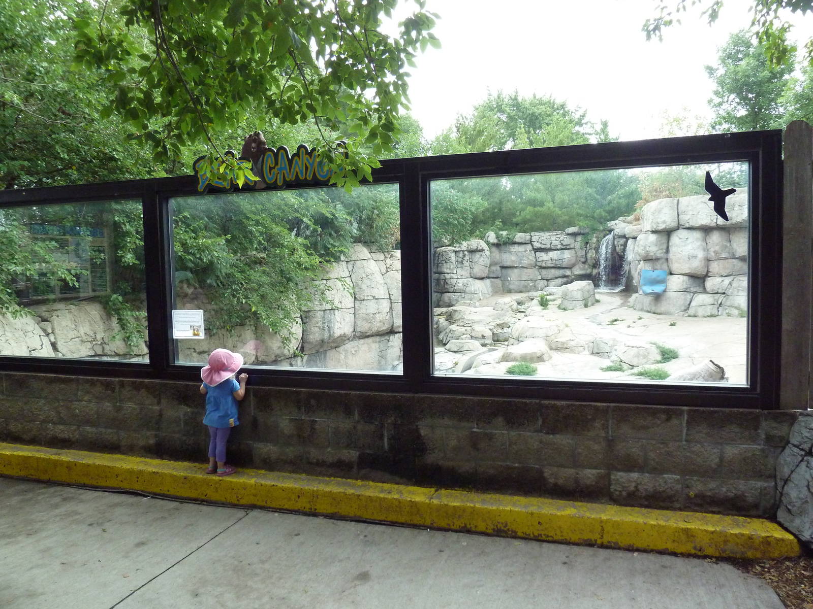 Grizzly Bear Exhibit - Viewing Area