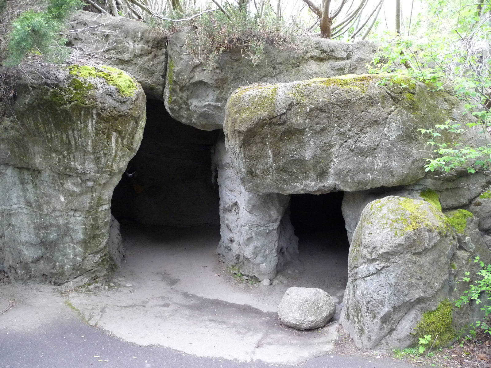 Grizzly Bear Exhibit - Viewing Cave