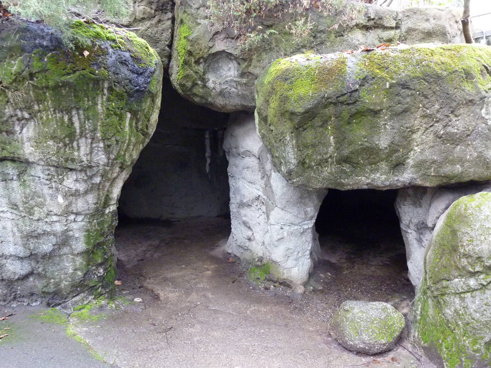 Grizzly Bear Exhibit - Viewing Cave