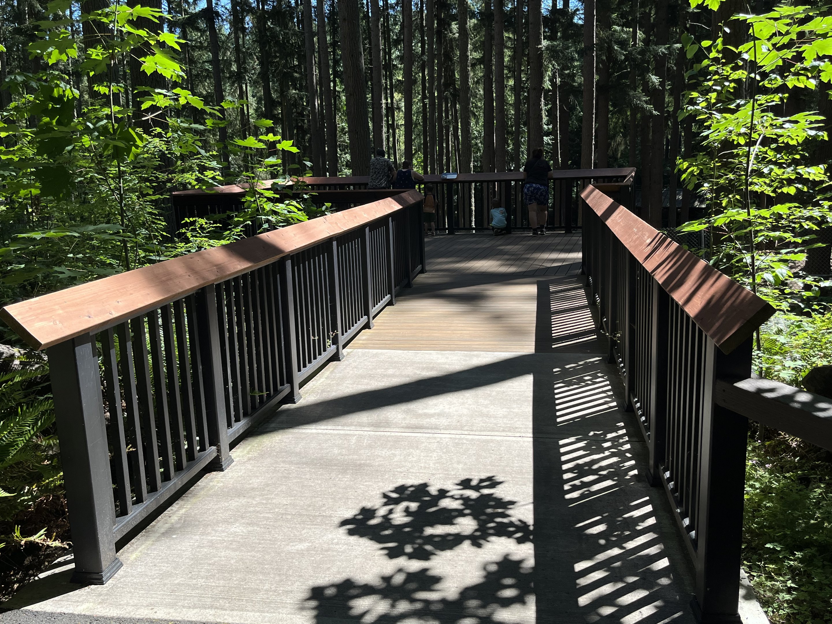 Grizzly Bear Exhibit - viewing deck