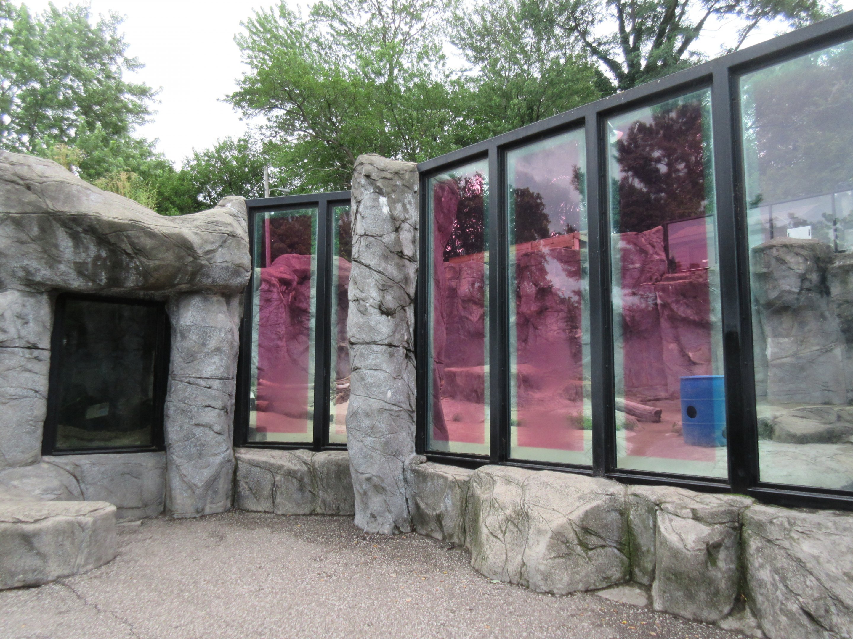 Grizzly Bear Exhibit (with red tinted windows)