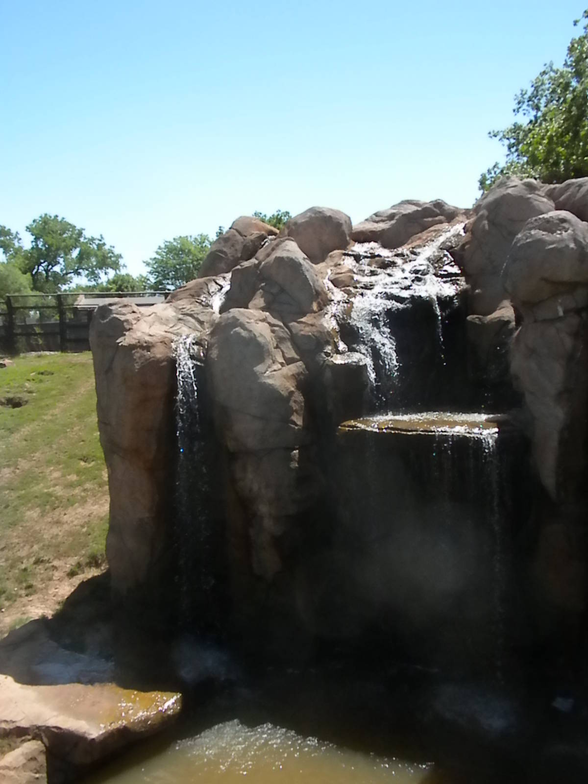 Grizzly Bear exhibit