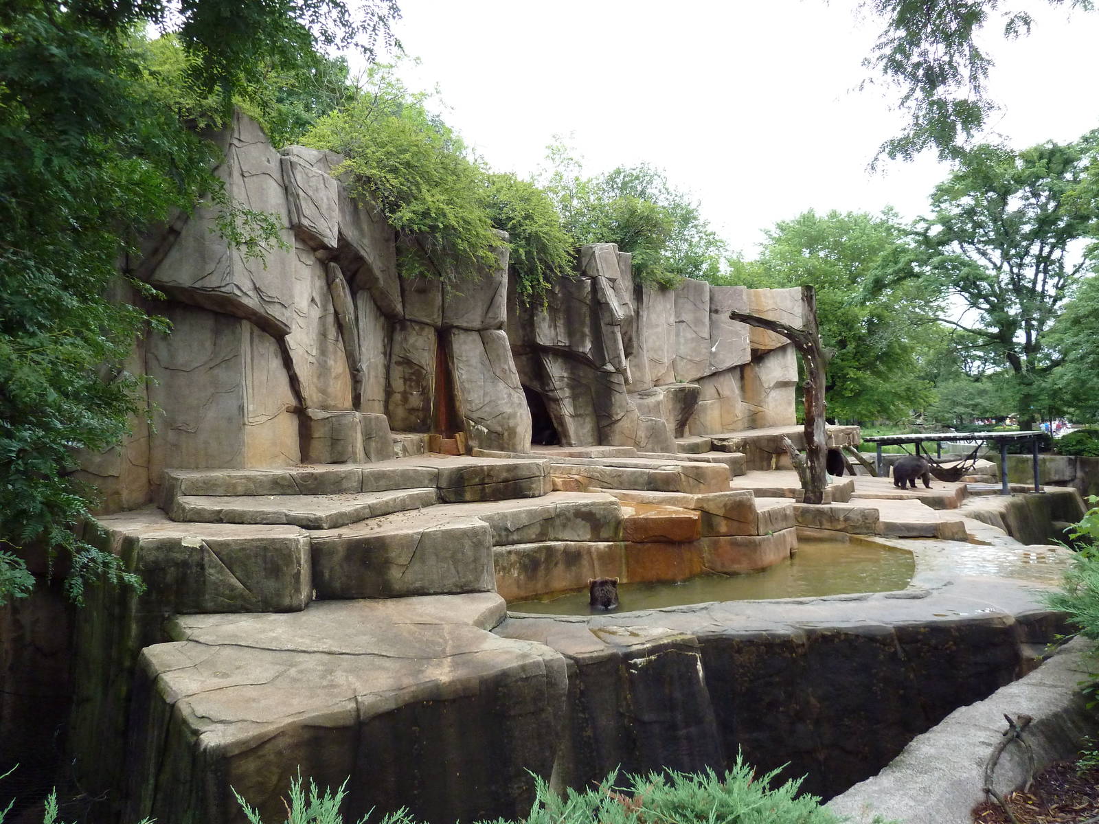 Grizzly Bear Exhibit