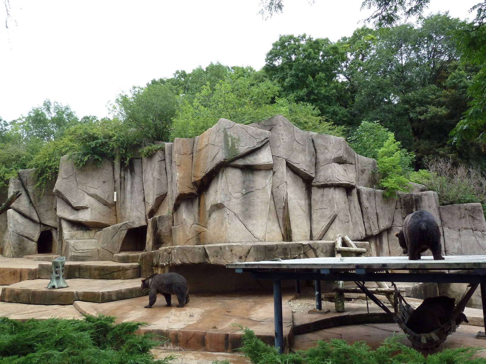 Grizzly Bear Exhibit