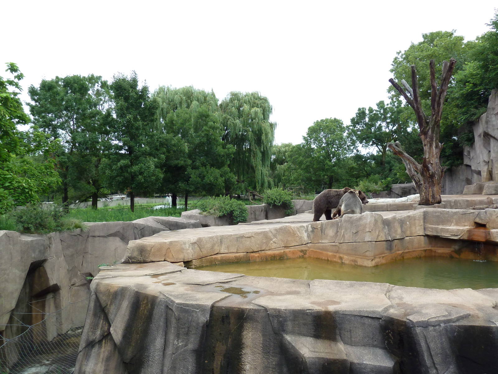 Grizzly Bear Exhibit