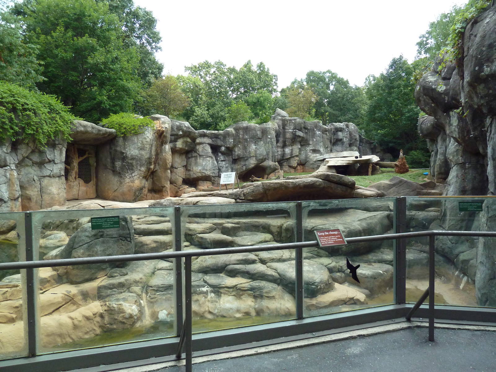 Grizzly Bear Exhibit