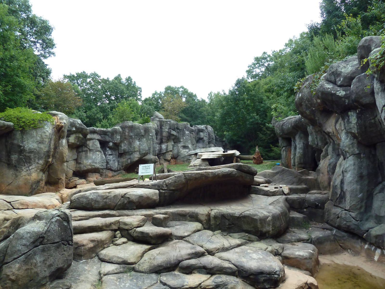 Grizzly Bear Exhibit