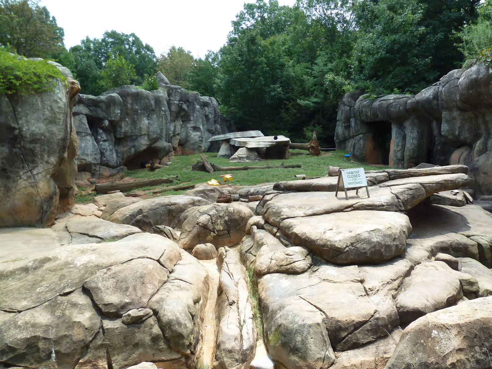 Grizzly Bear Exhibit