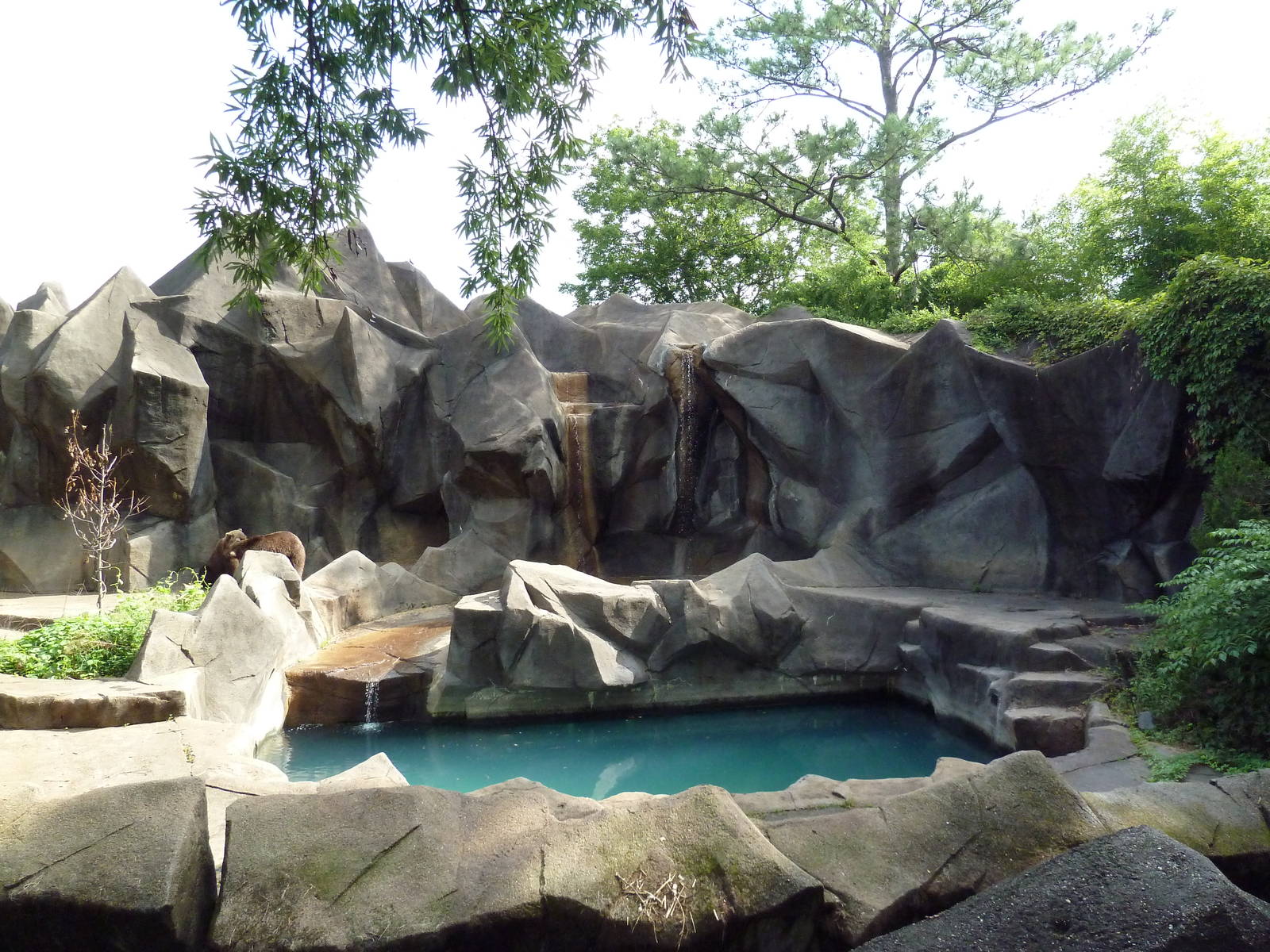 Grizzly Bear Exhibit