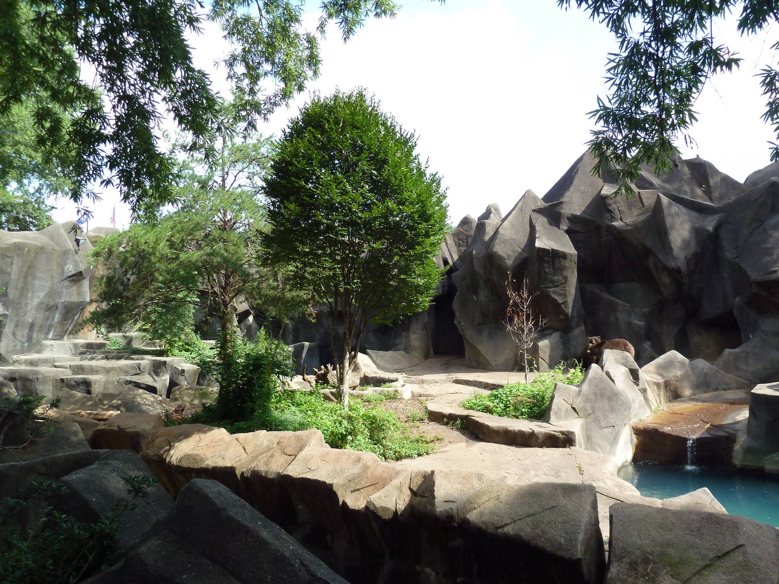 Grizzly Bear Exhibit