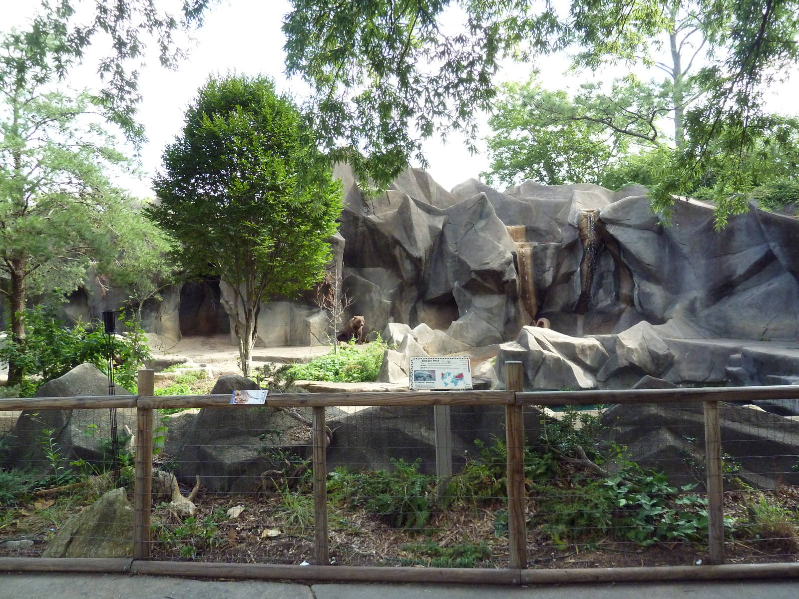 Grizzly Bear Exhibit