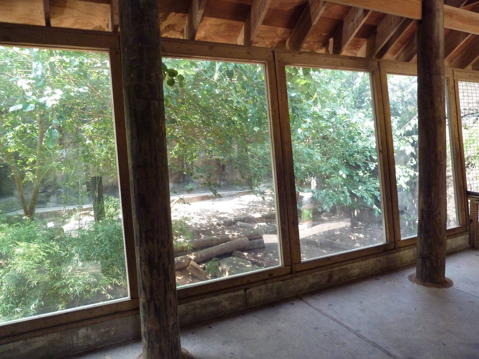 Grizzly Bear Exhibit