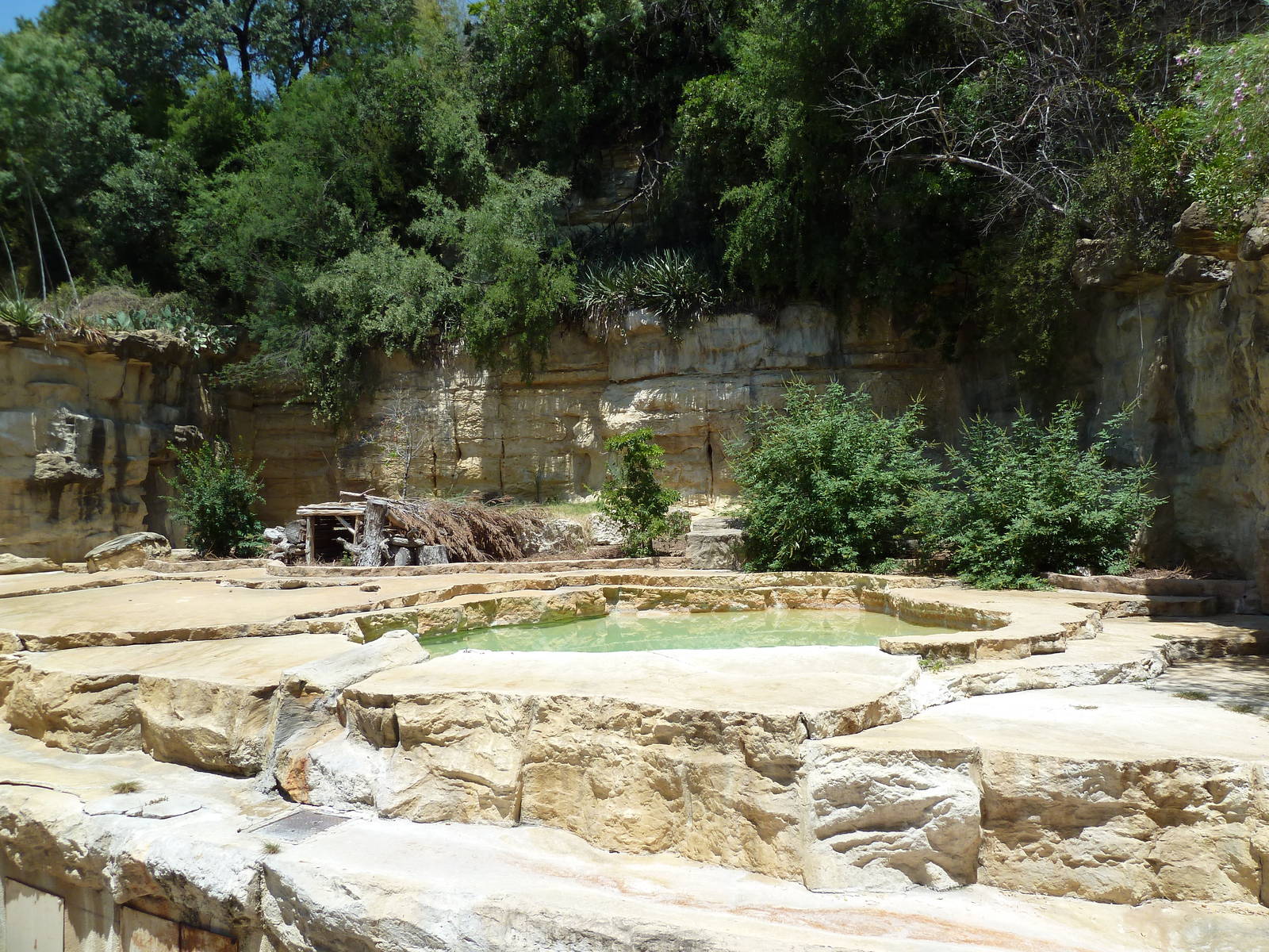Grizzly Bear Exhibit