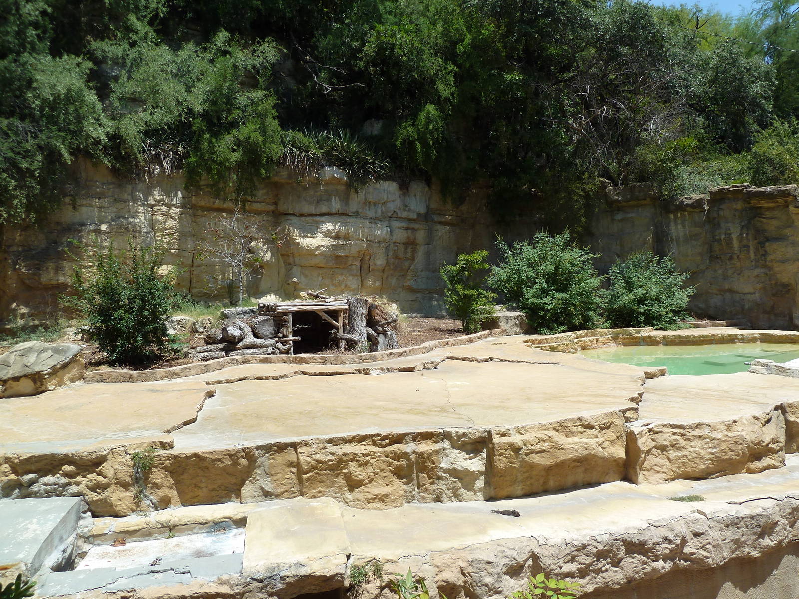 Grizzly Bear Exhibit