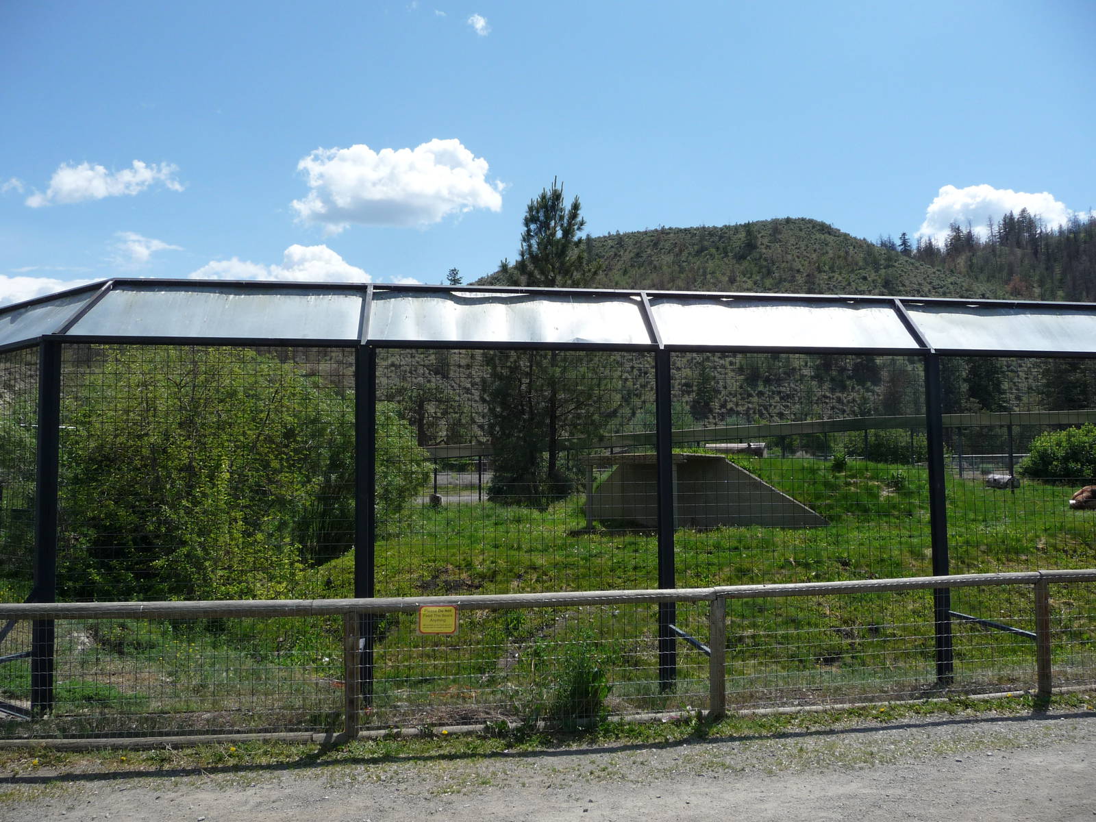 Grizzly Bear Exhibit