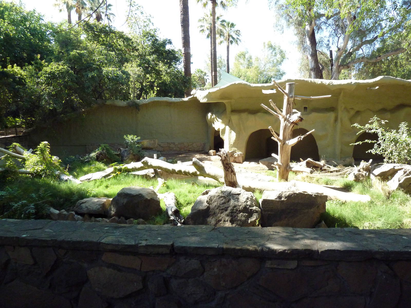 Grizzly Bear Exhibit