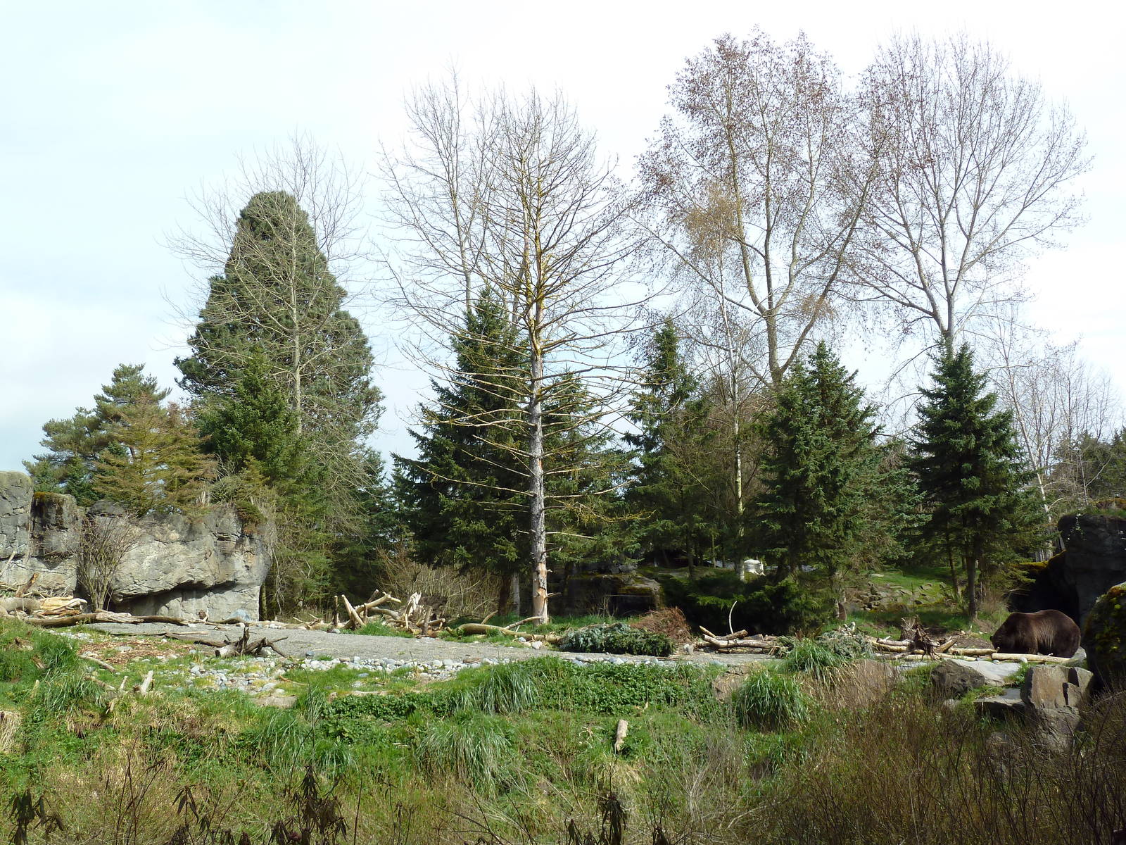 Grizzly Bear Exhibit