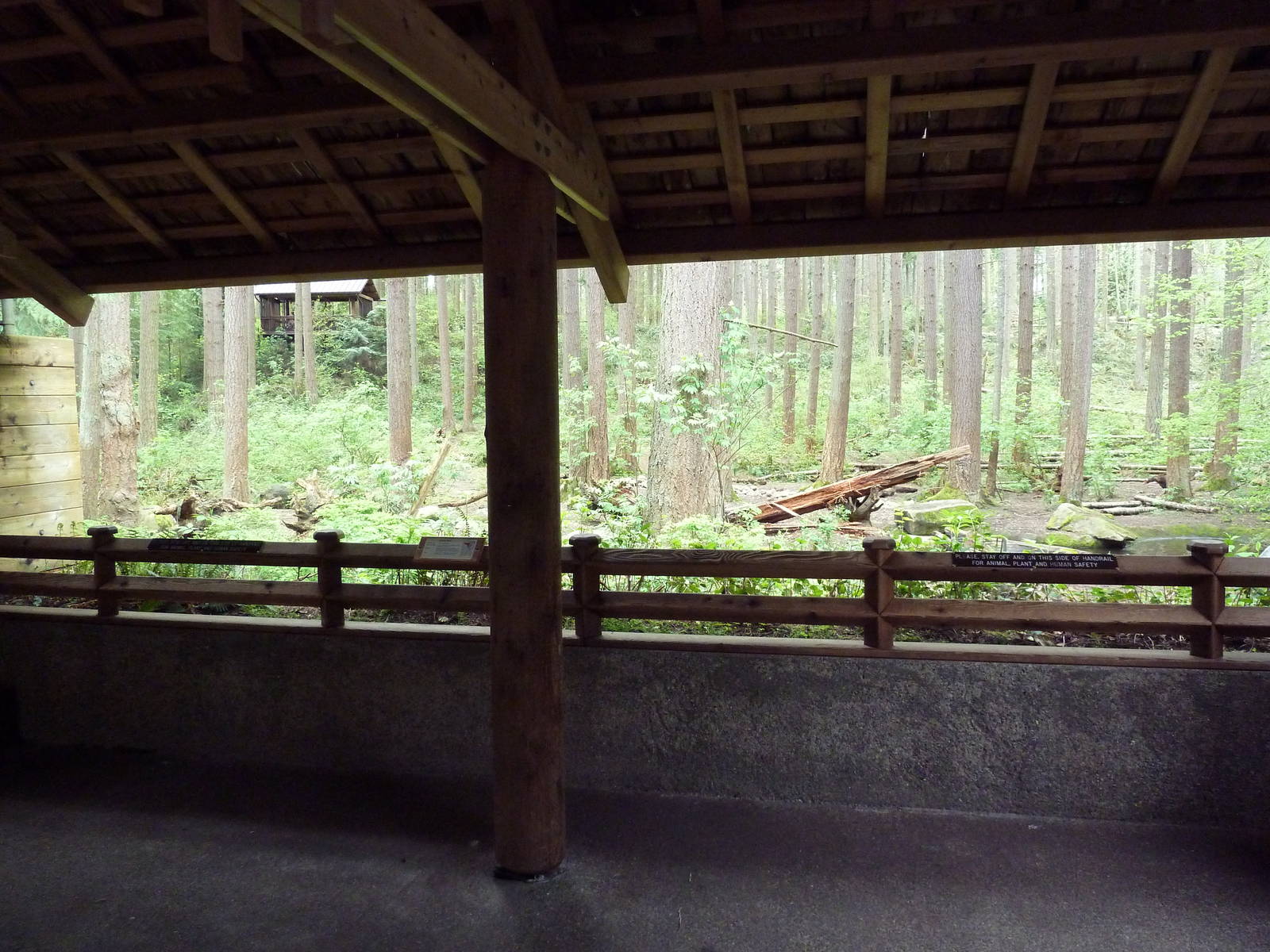 Grizzly Bear Exhibit