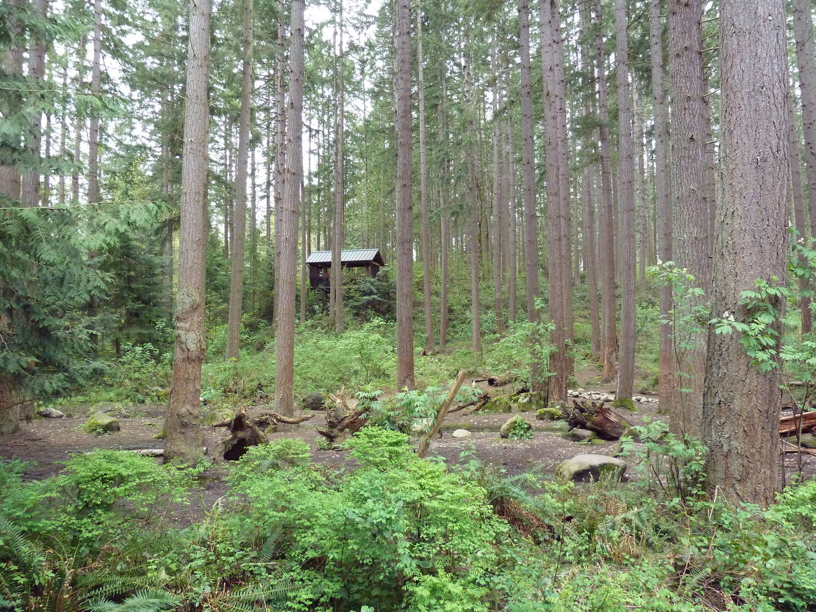 Grizzly Bear Exhibit
