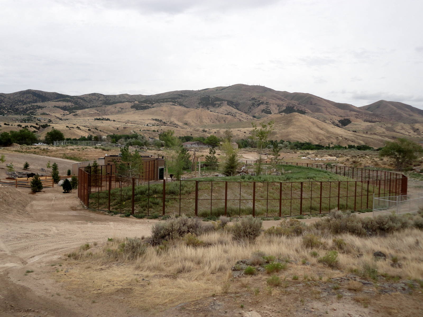 Grizzly Bear Exhibit