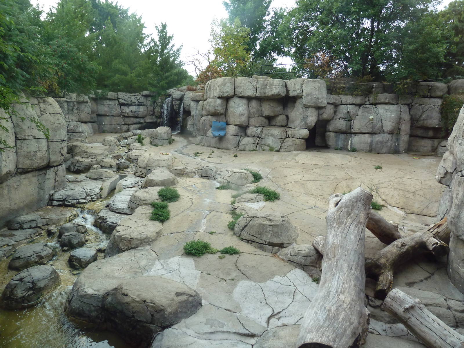 Grizzly Bear Exhibit