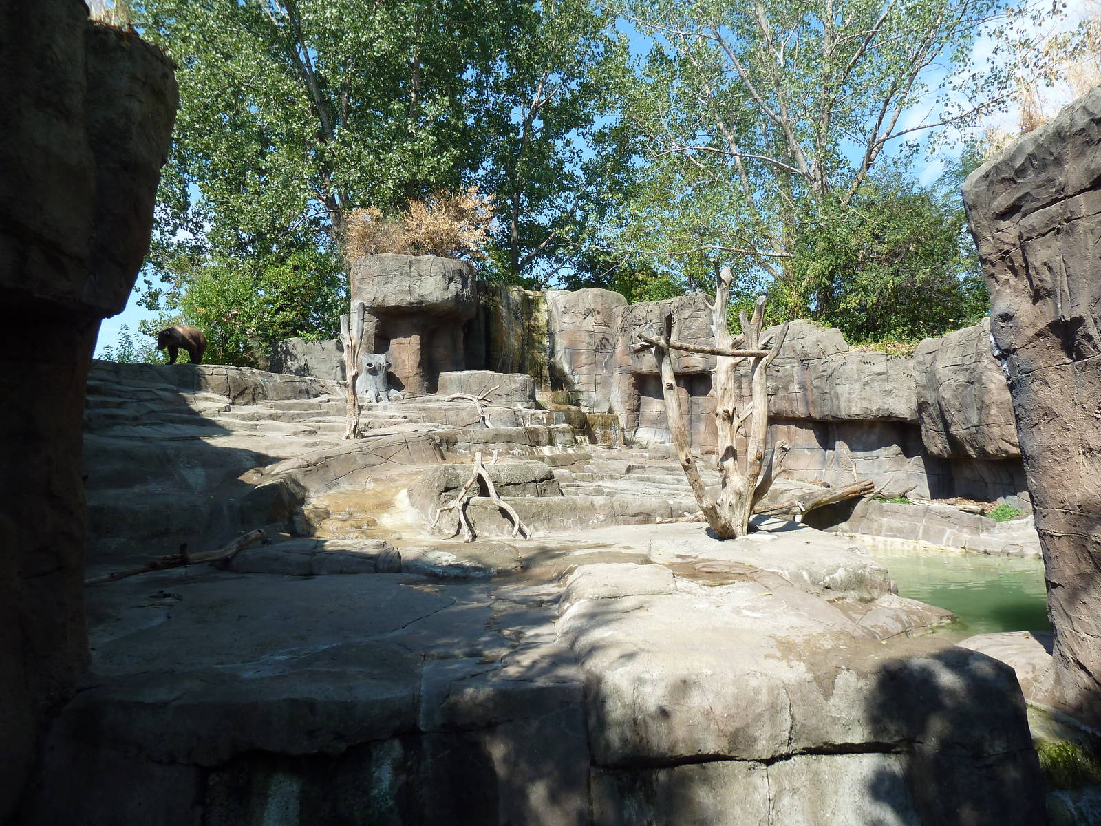 Grizzly Bear Exhibit
