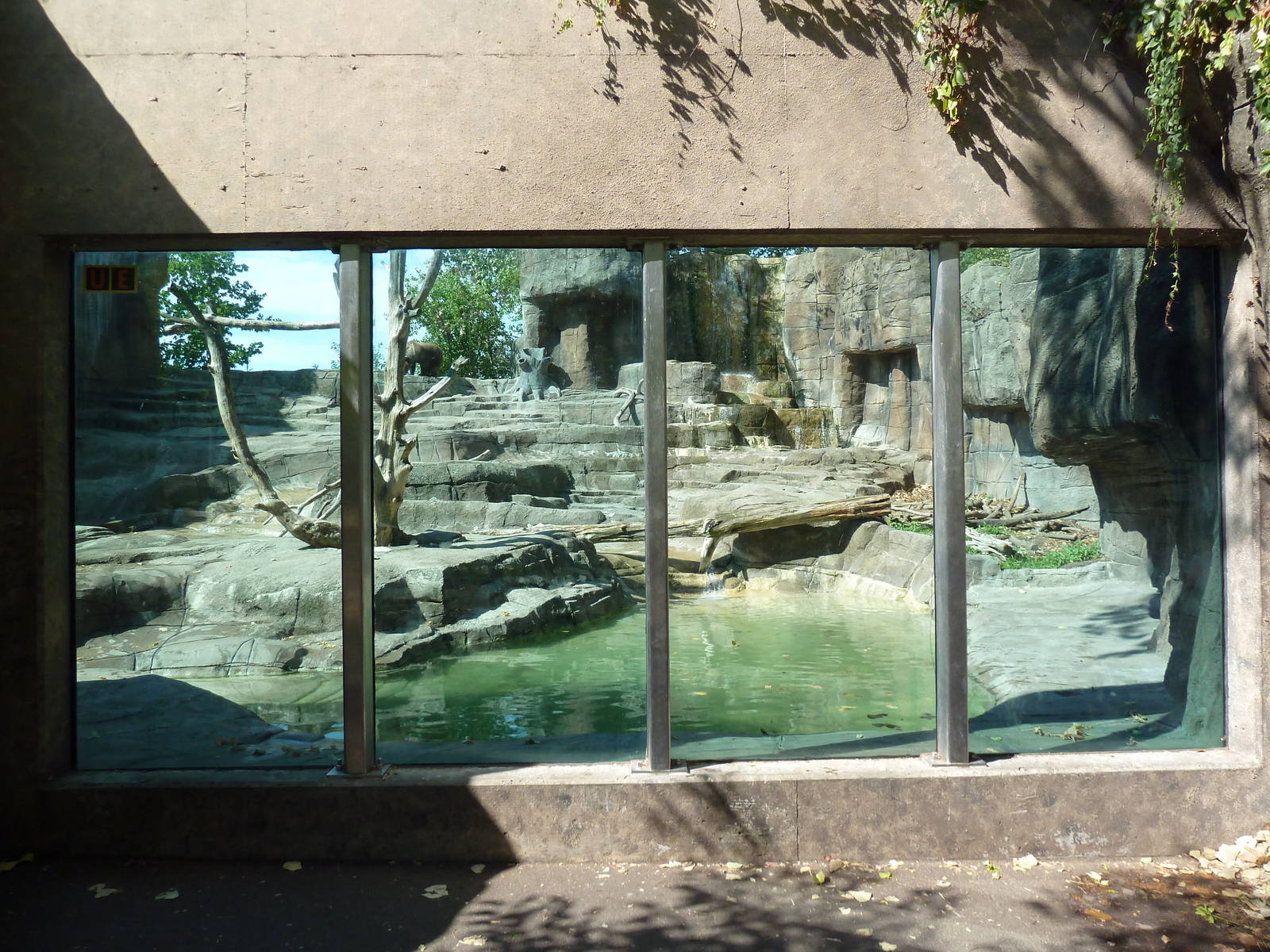 Grizzly Bear Exhibit