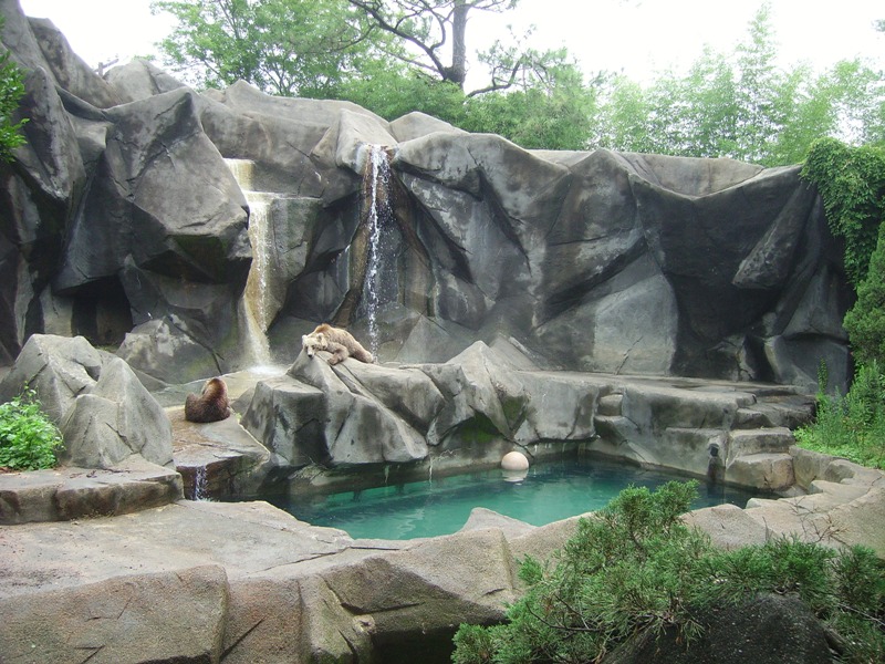 Grizzly Bear Exhibit
